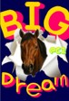 BIG Dream